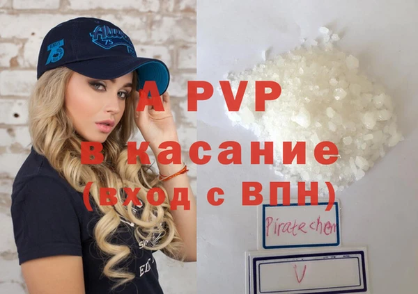 гашик Осташков