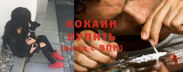 гашик Осташков