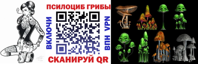 что такое наркотик  Отрадный  Псилоцибиновые грибы MAGIC MUSHROOMS 